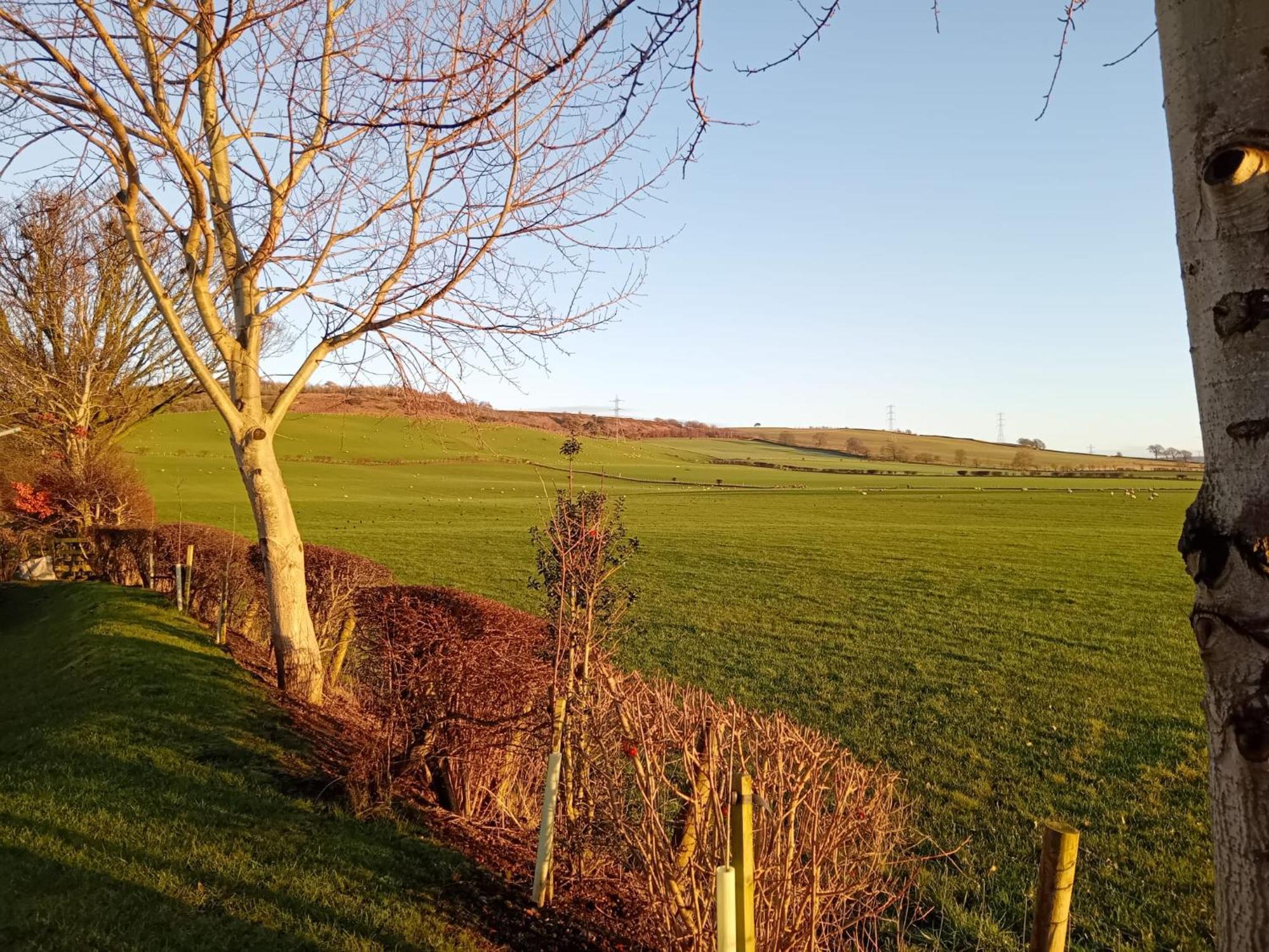 19 Park Views Just Outside Penrith For Holidays And Short Breaks Please No Commercial Vans Thankyou High Hesket Zewnętrze zdjęcie